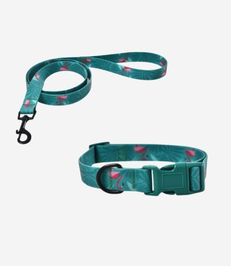 [8000483] Naomi - Dog Leash & Collar - M