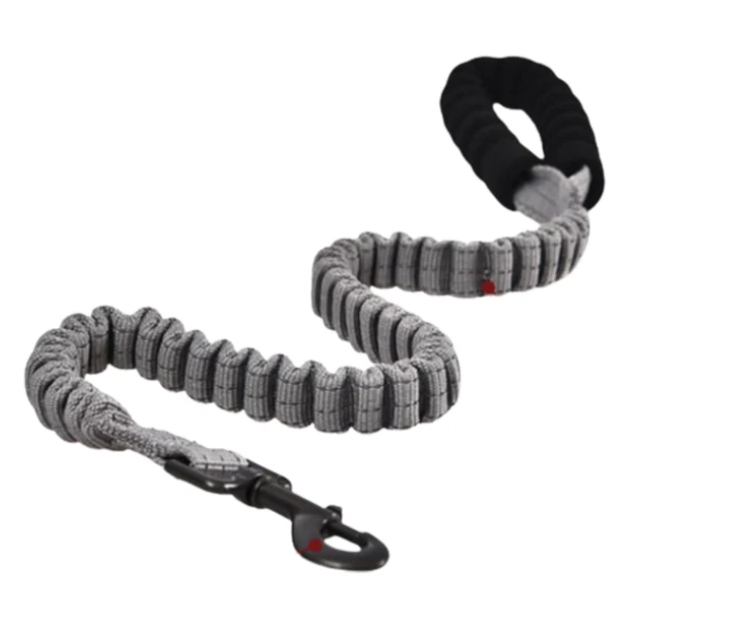 [YL107769] Naomi - Dog Leash