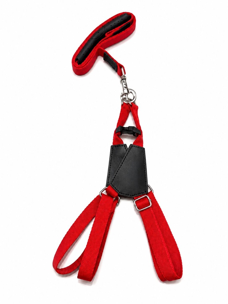 [8000554] Lino - Harness + Leash - L